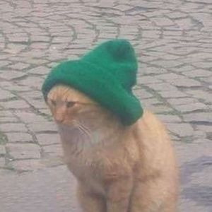 Meet your Posher, Joseph